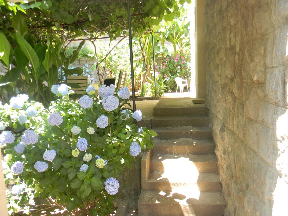 Gospostina Apartment Budva